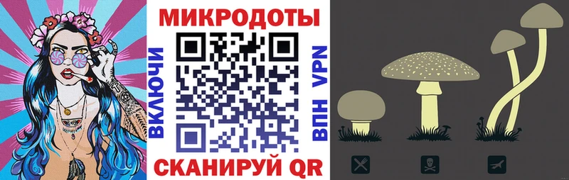 Псилоцибиновые грибы Cubensis  Билибино 